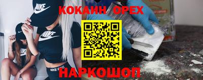 гашик Гатчина