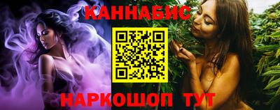 гашик Гатчина