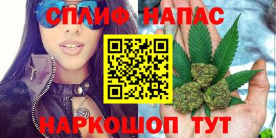 гашик Гатчина