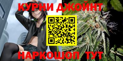 гашик Гатчина