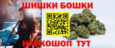гашик Гатчина
