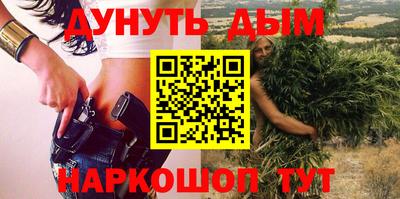 гашик Гатчина