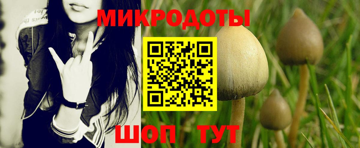 Псилоцибиновые грибы MAGIC MUSHROOMS  Вход с VPN  купить   Псилоцибиновые грибы мицелий  Егорьевск 